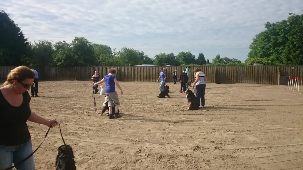 Honden Service "Over Betuwe"
