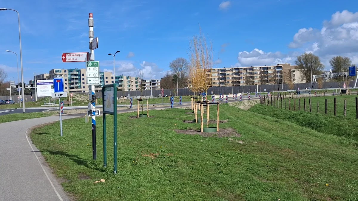 Hondendagopvang De Kwispelbrigade - 3