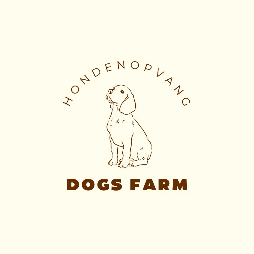 Hondendagopvang Dogs Farm - 2
