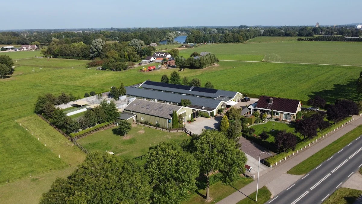 Hondenhotel De Tatelaarhoeve