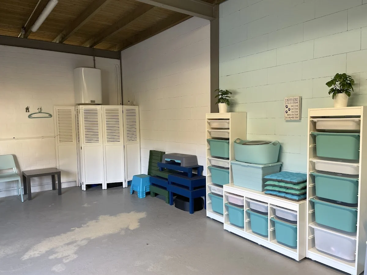 Hondenschool Breda - 2