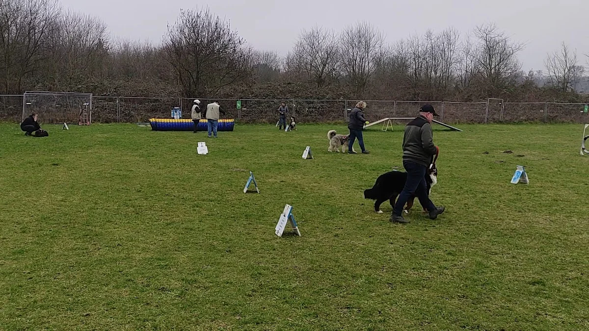 Hondenschool "Canis Cunerae" - 3