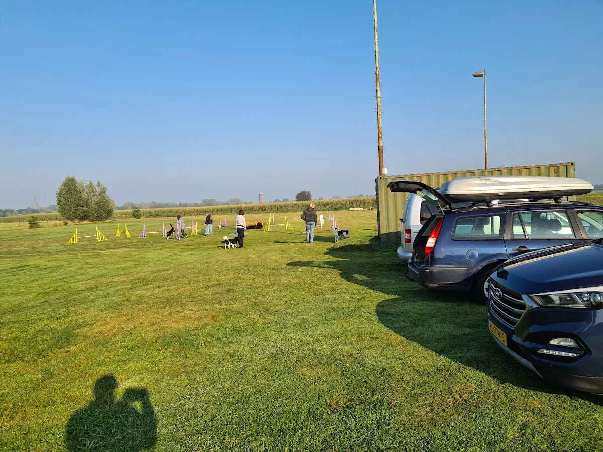 Hondenschool De Bonte Hond