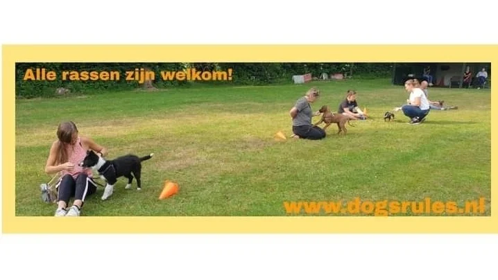 Hondenschool Dogs Rules