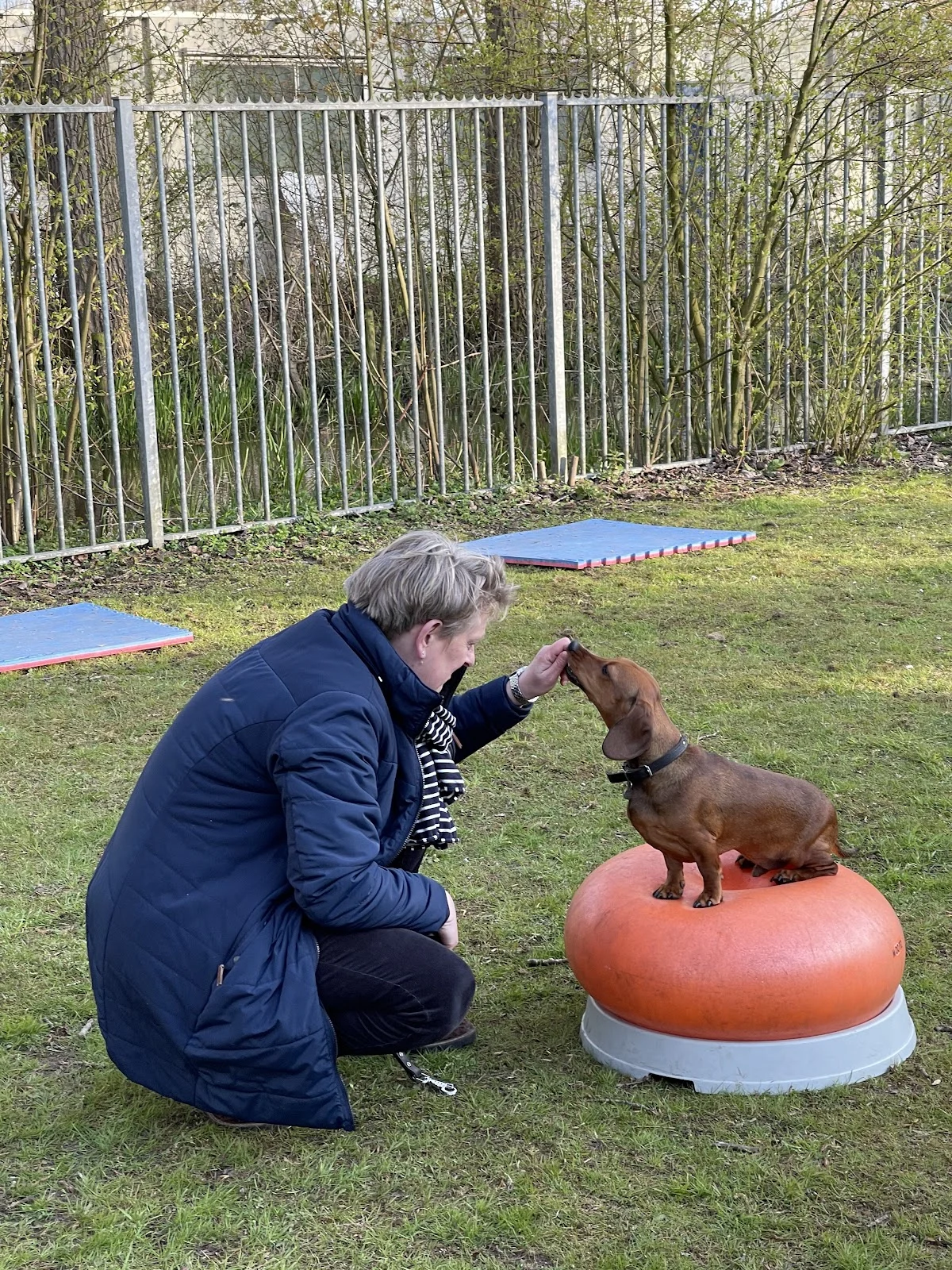 Hondenschool Op Maat