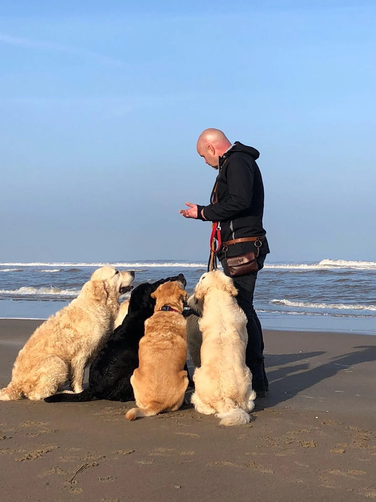 Hondentraining Kees van Duijn