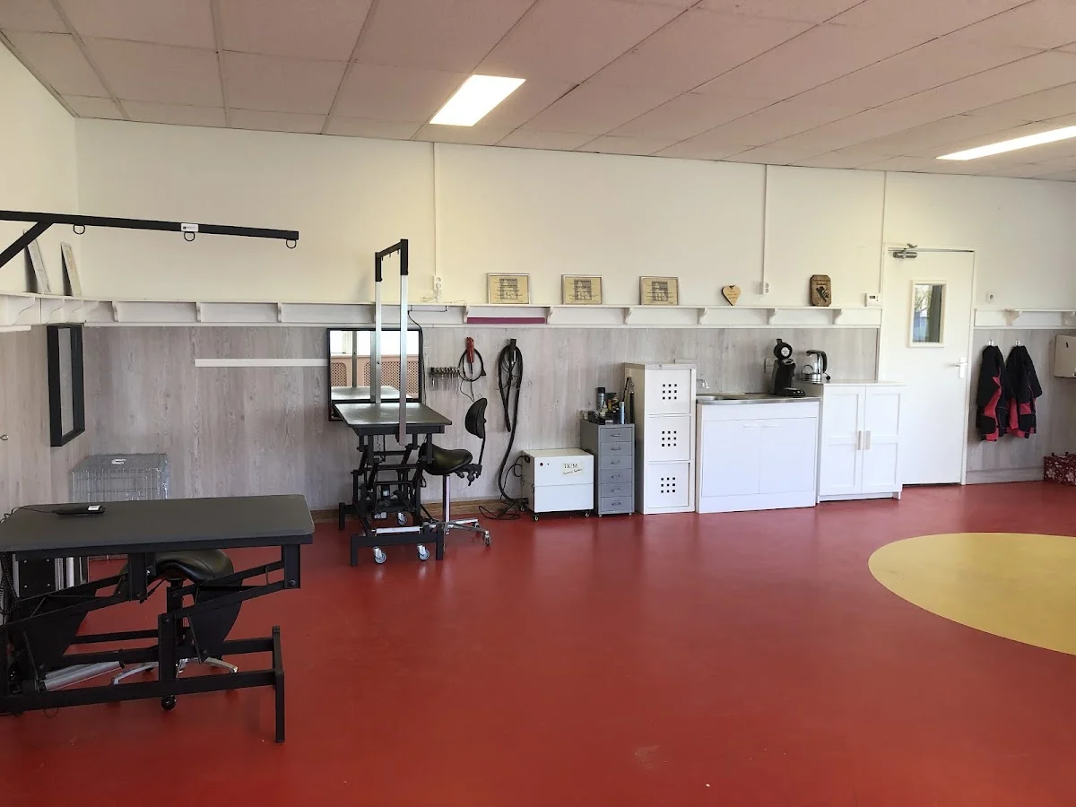 Hondentrimsalon Nathalie - 2