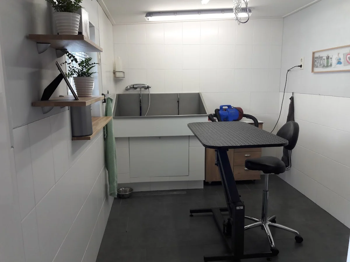Hondentrimsalon Quist