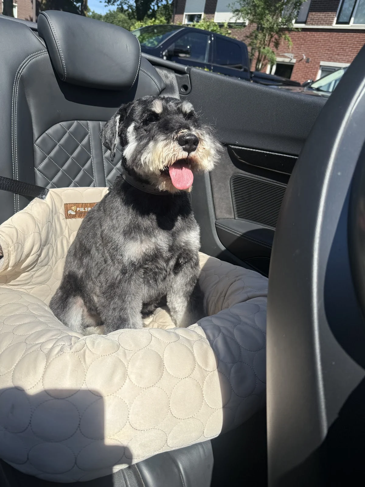 Hondentrimsalon Snuffel - 2