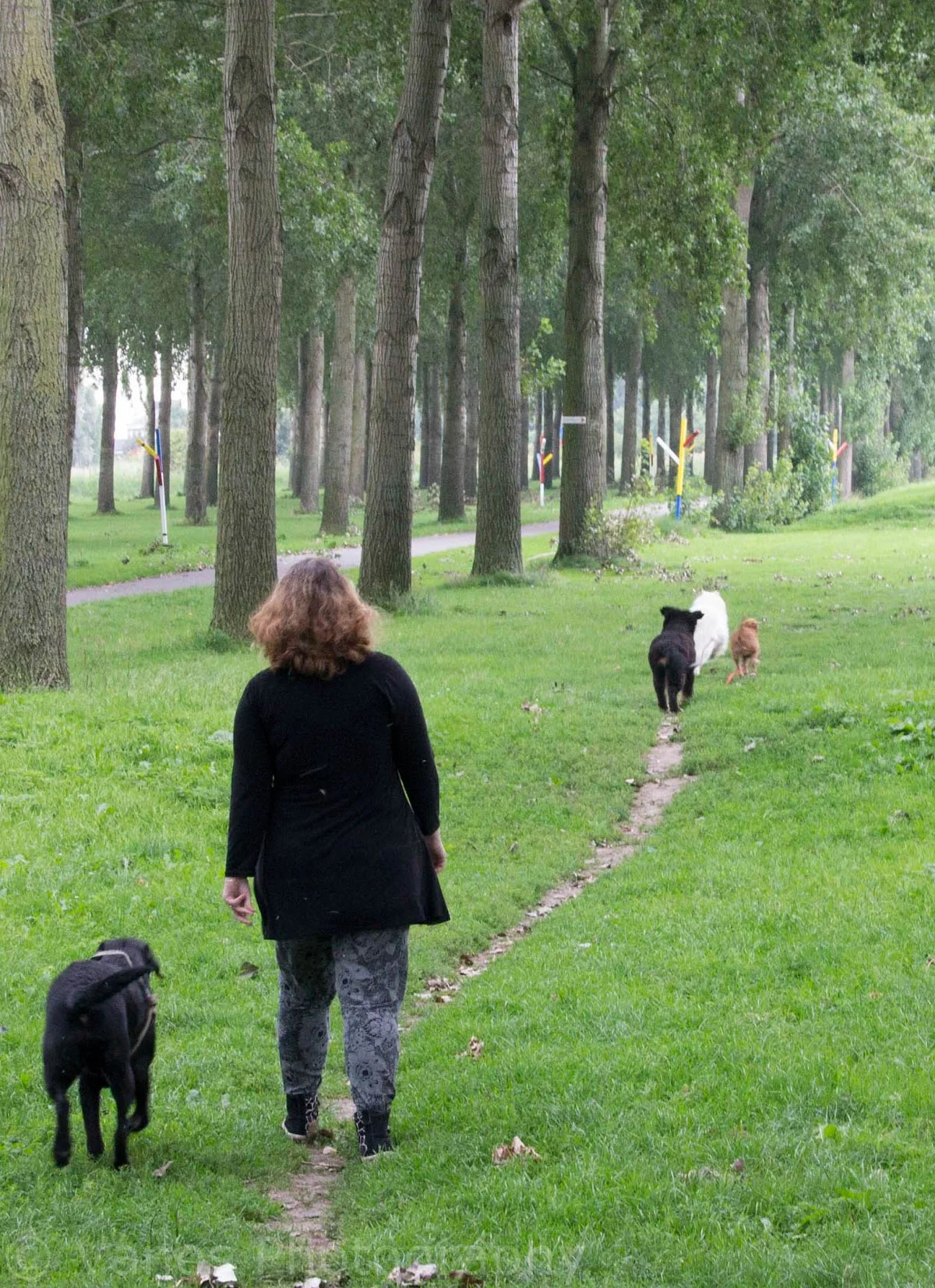 Hondenuitlaatservice Amys Dogz - 3