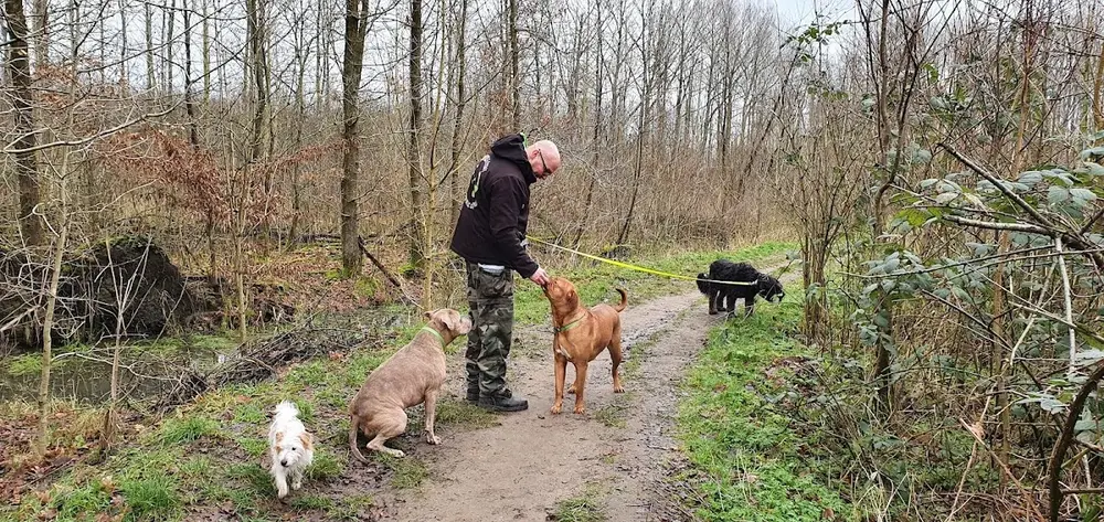 Hondenuitlaatservice Hands en Paws Purmerend