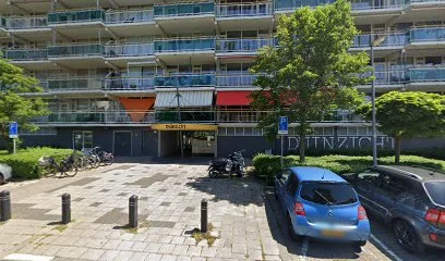 Hondenuitlaatservice Hans Hoek van Holland