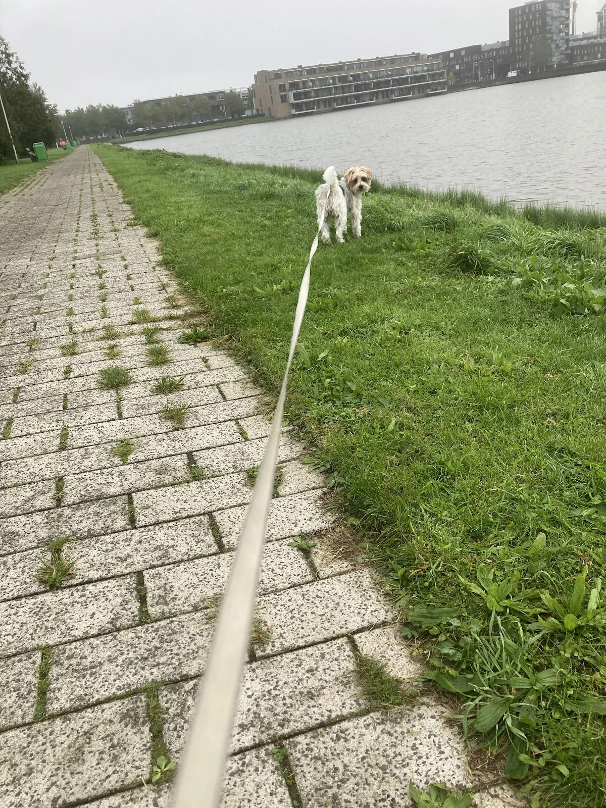 Hondenuitlaatservice Pret - 3
