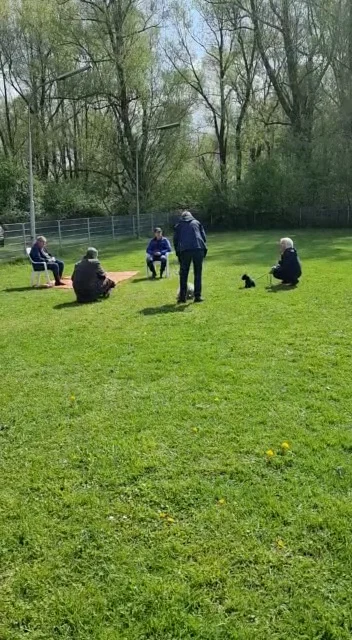 Hondenvereniging Elburg - 3