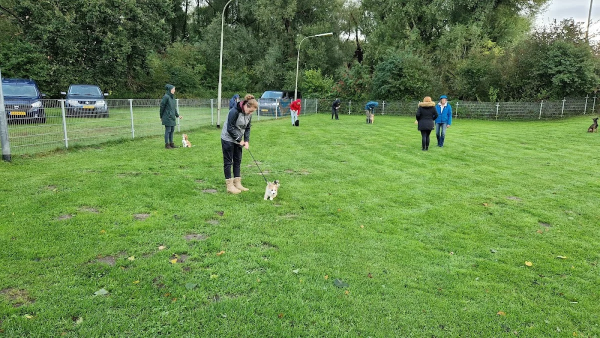 Hondenvereniging Elburg