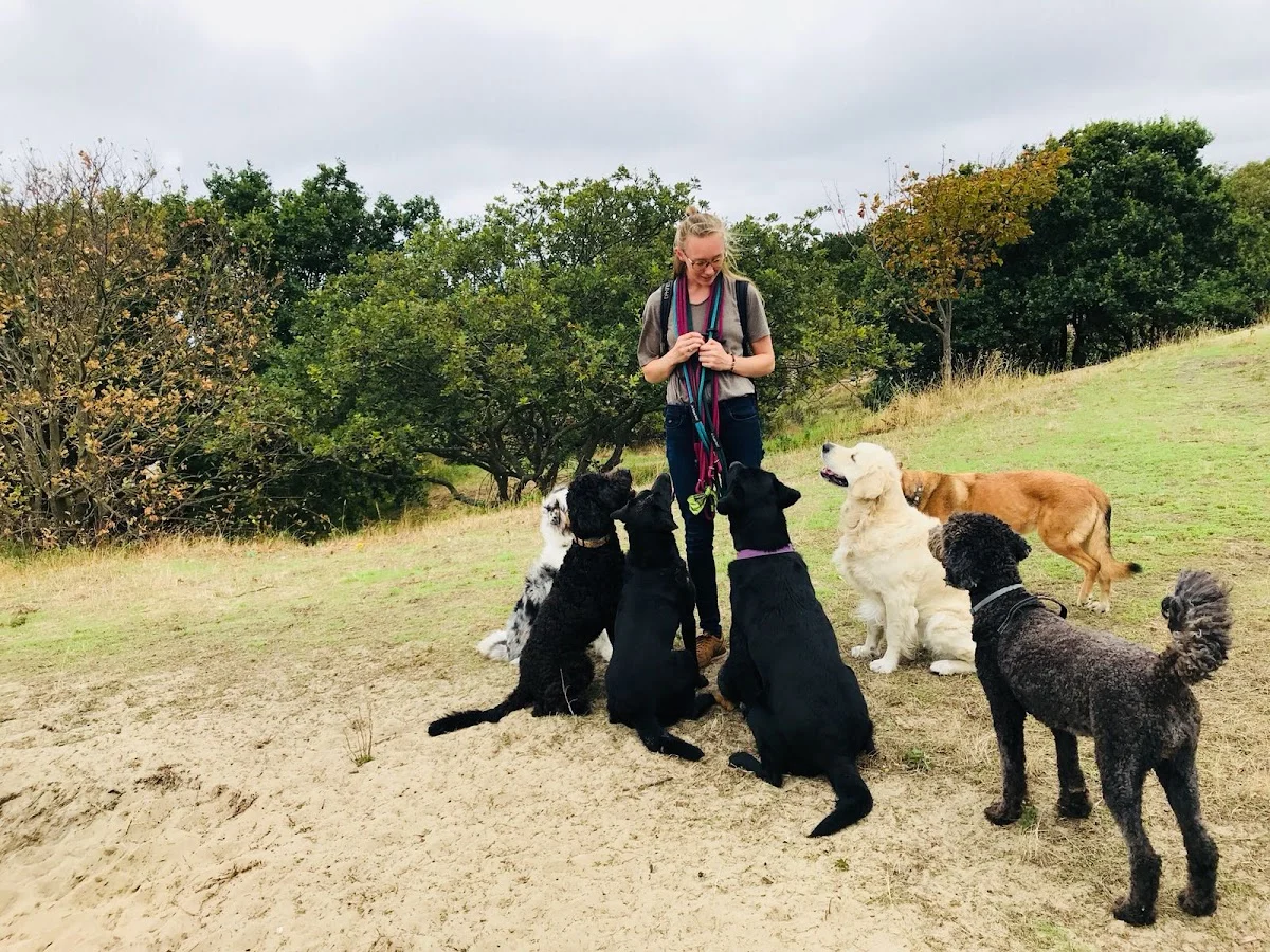 Hond&Geluk hondencoach Jorine Harry