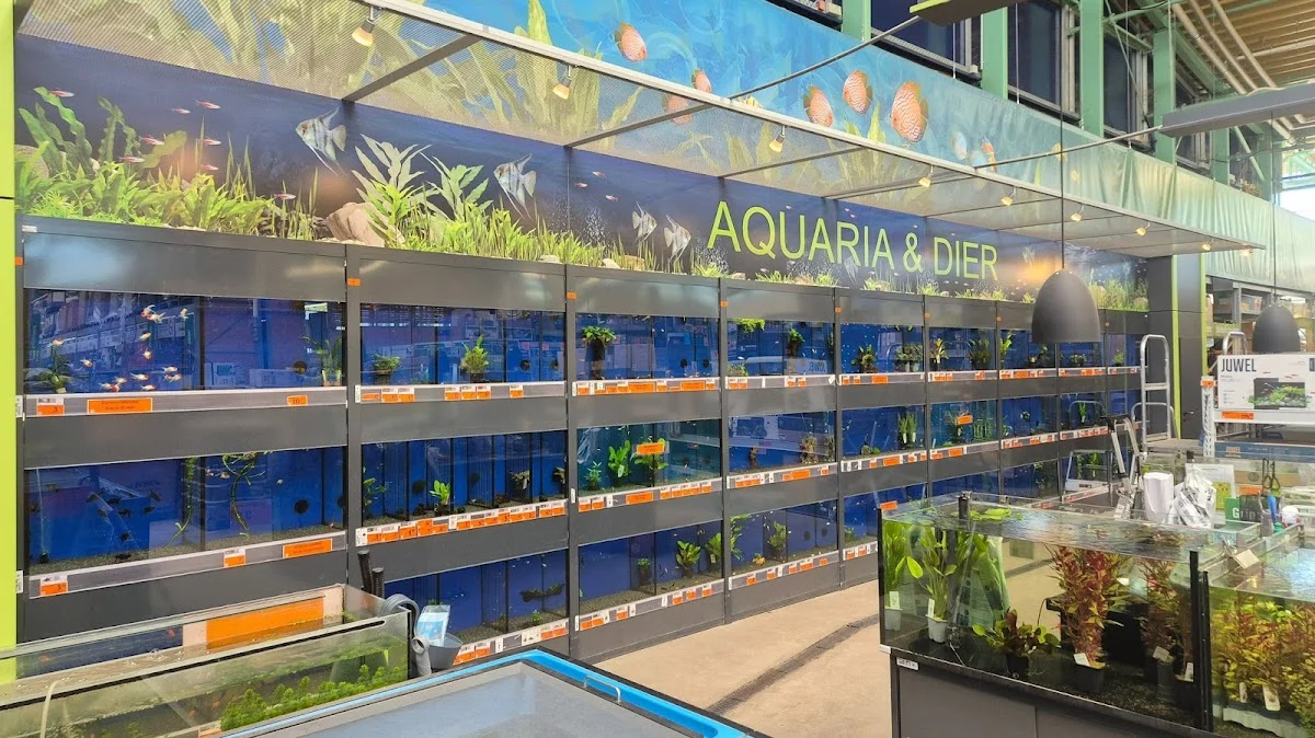 HORNBACH Dierenafdeling Alblasserdam - 2