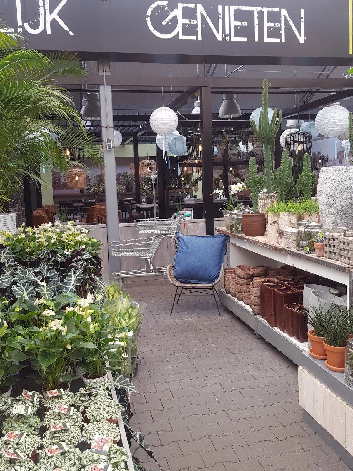 Intratuin Amersfoort - 5
