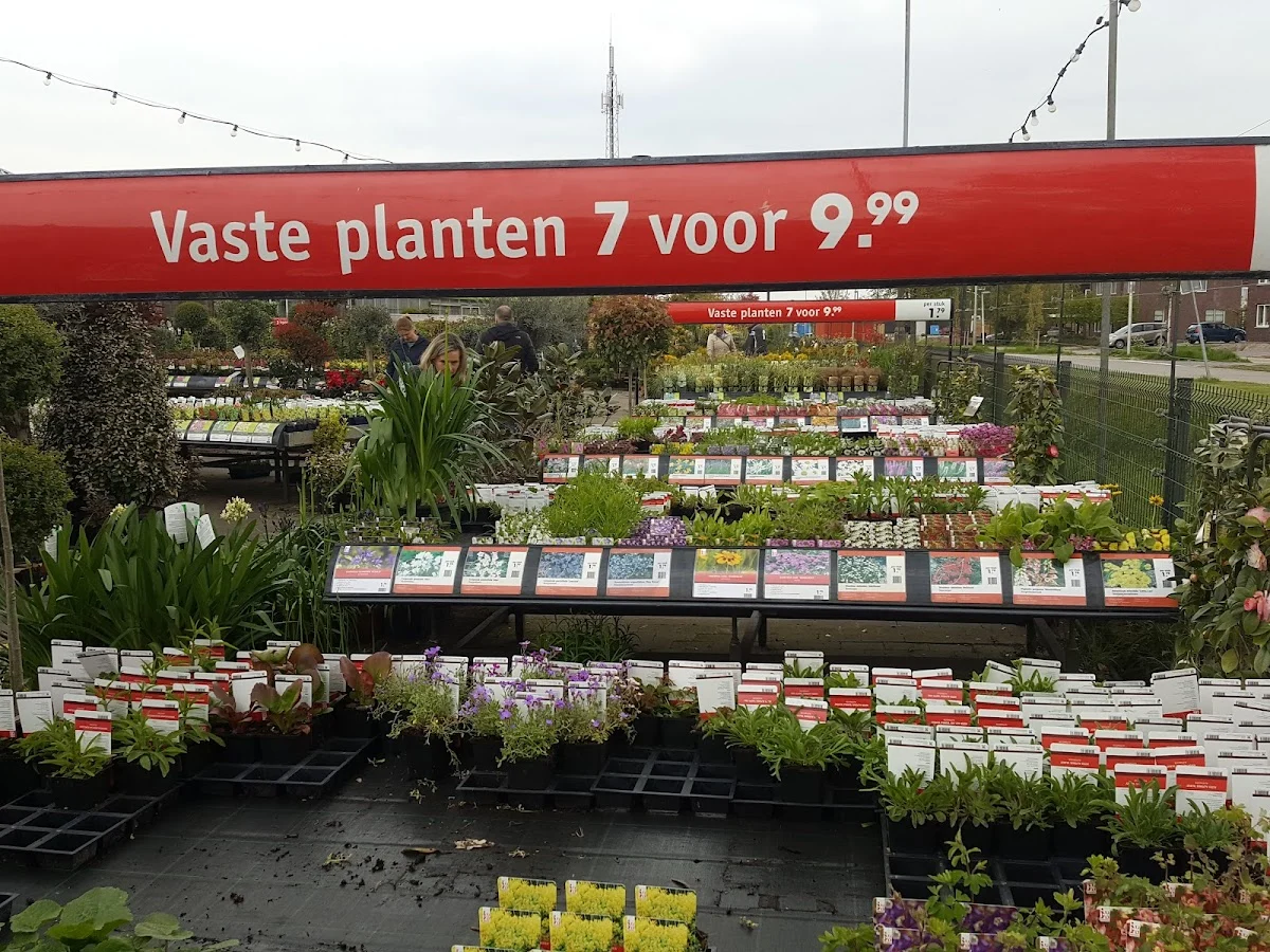 Intratuin Hendrik Ido Ambacht - 5