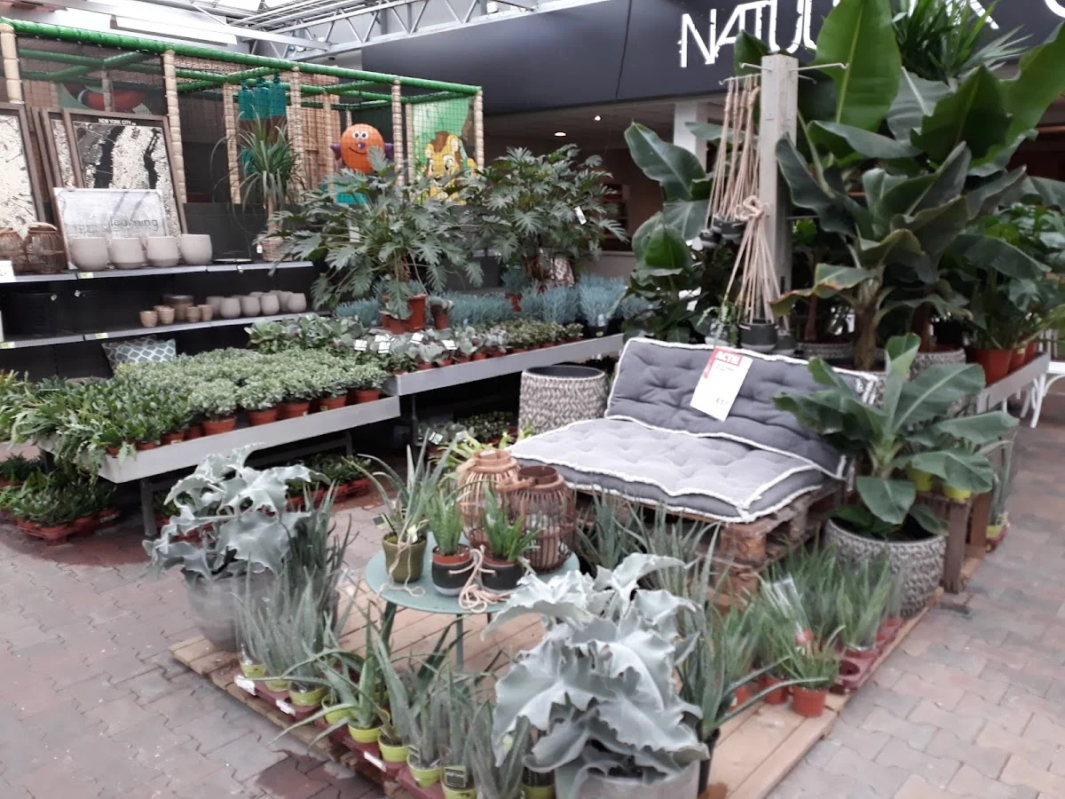 Intratuin Nijkerk - 4