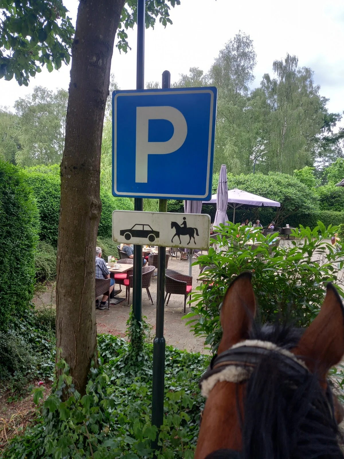 Jägerhof - 2