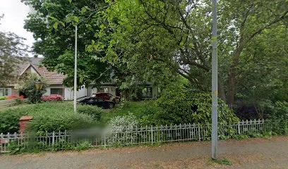 Joy For Life
