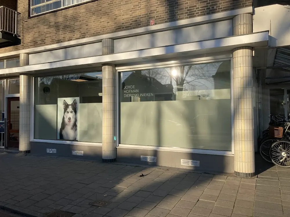 Joyce Hofman dierenklinieken locatie Watergraafsmeer - 2