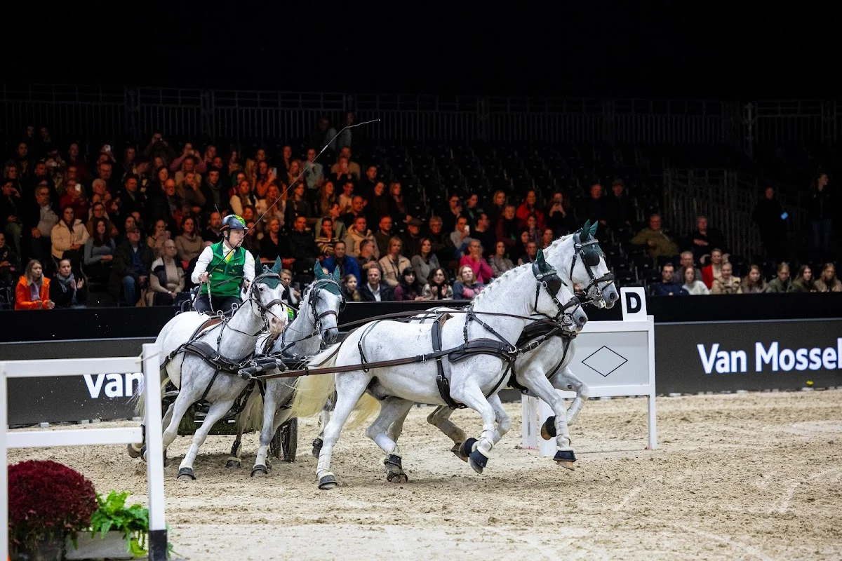 Jumping Indoor Maastricht - 2