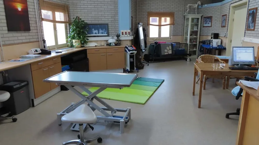 Jyoti - Holistische praktijk voor mens en dier
