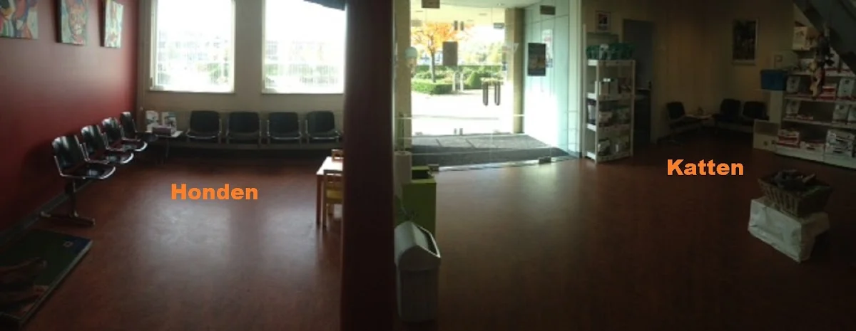 Kattenkliniek Winterswijk - 2