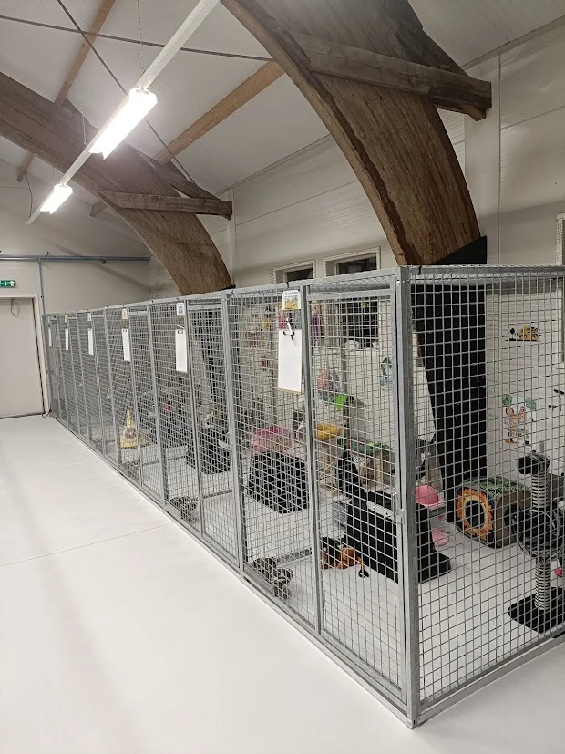 Kattenpension de Ellerhoeve - 2
