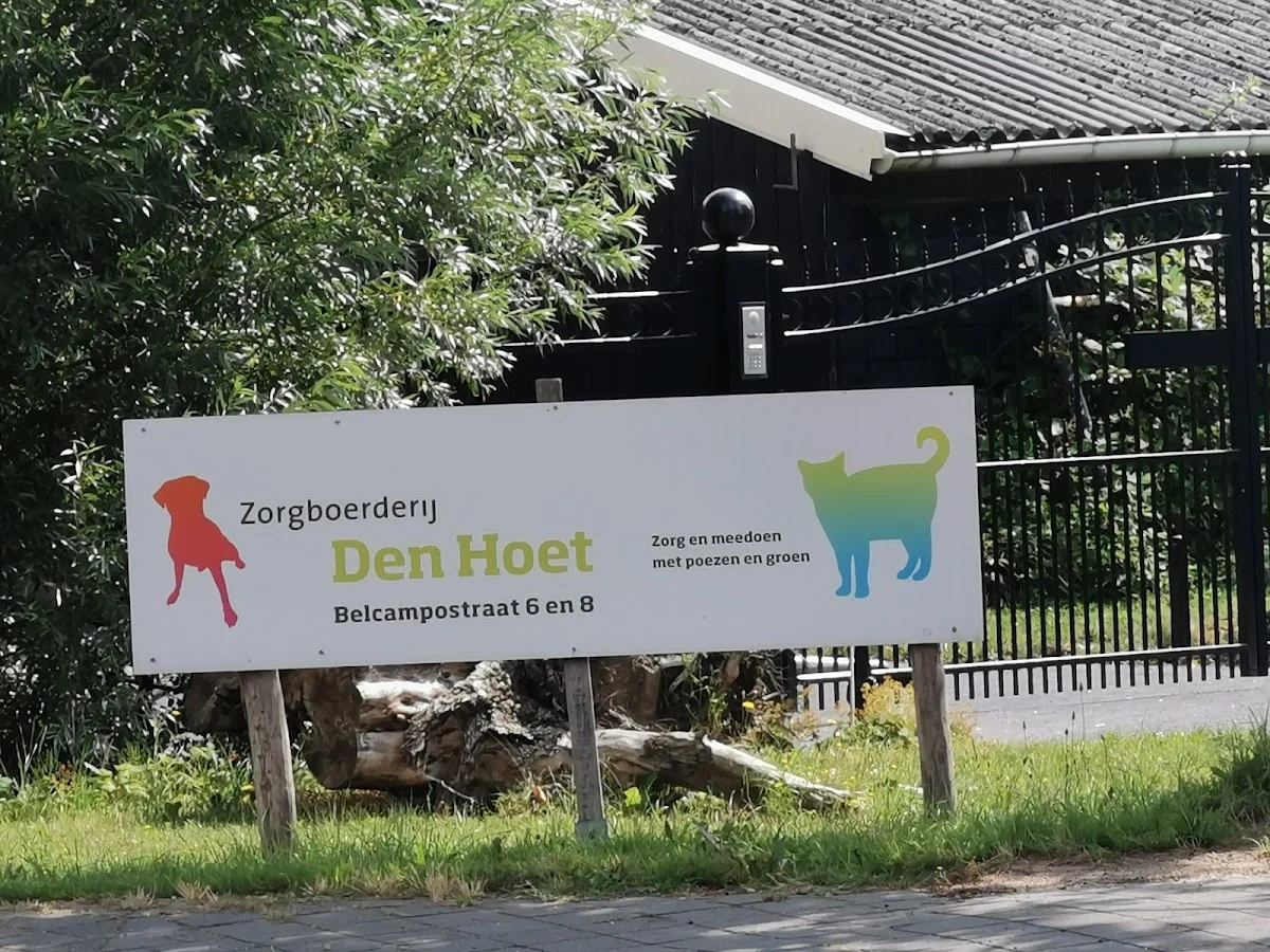 Kattenpension den Hoet