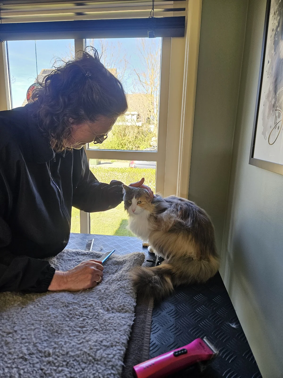 Kattentrimsalon Bonnie