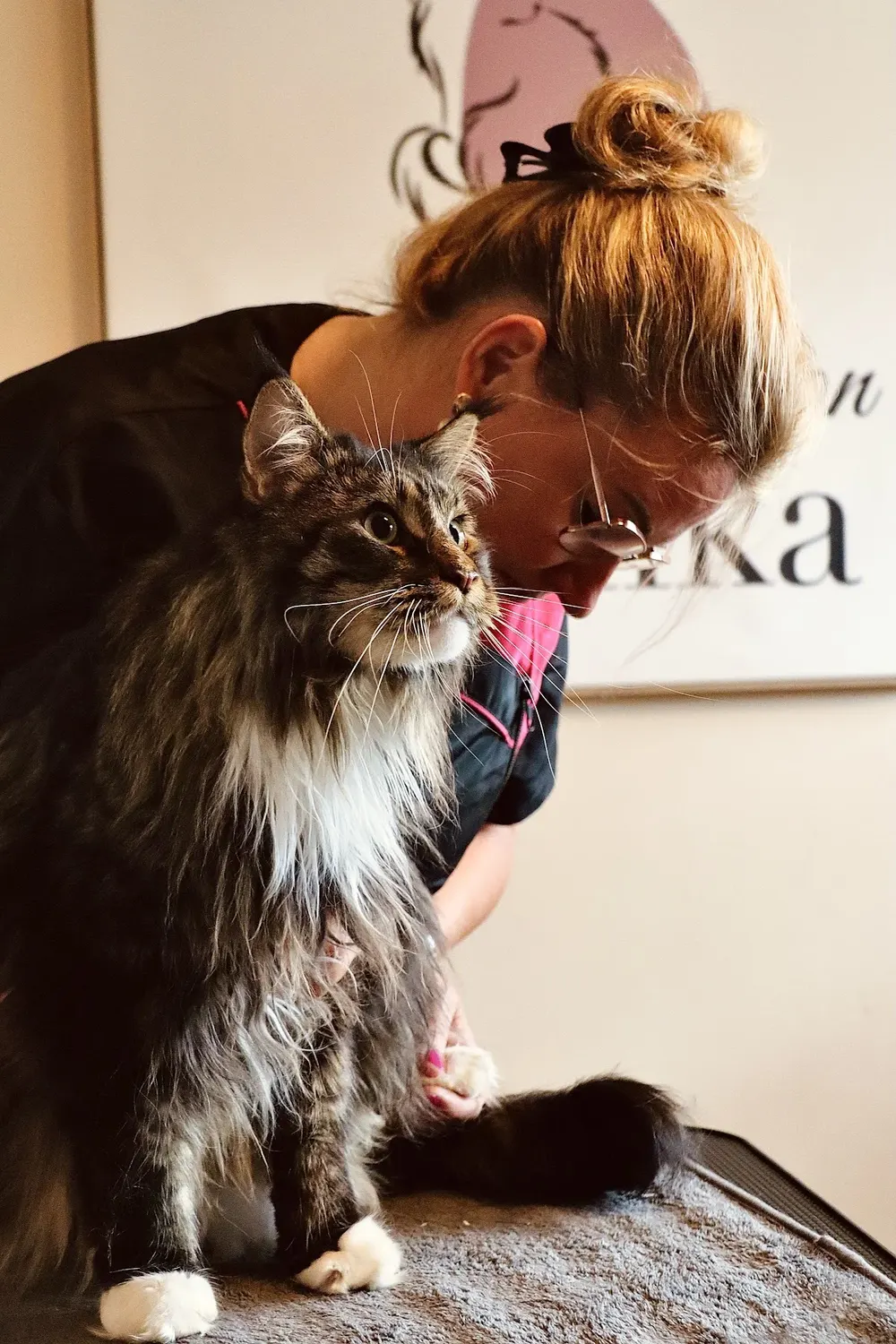Kattentrimsalon Monika