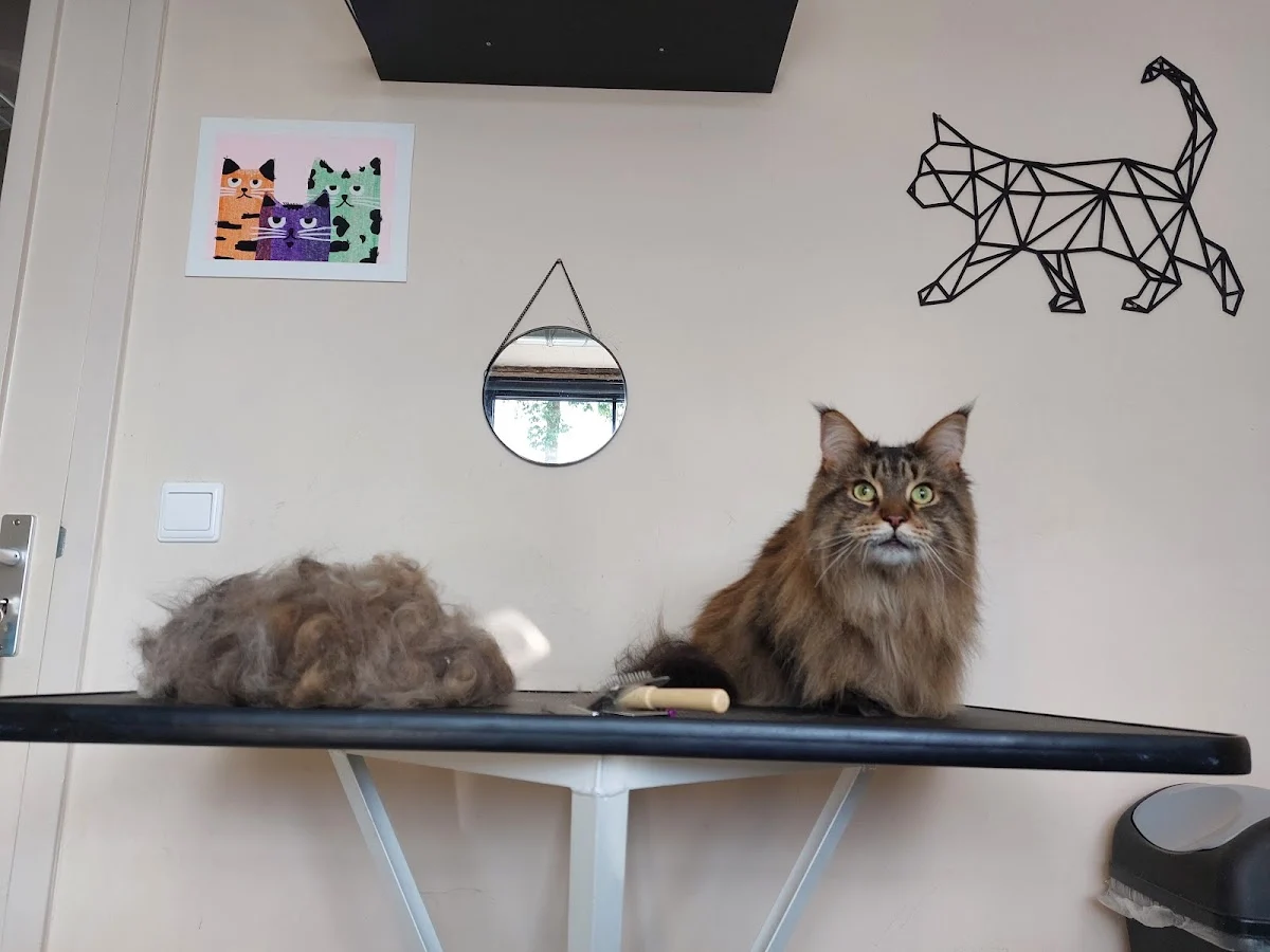 Kattentrimsalon Monika