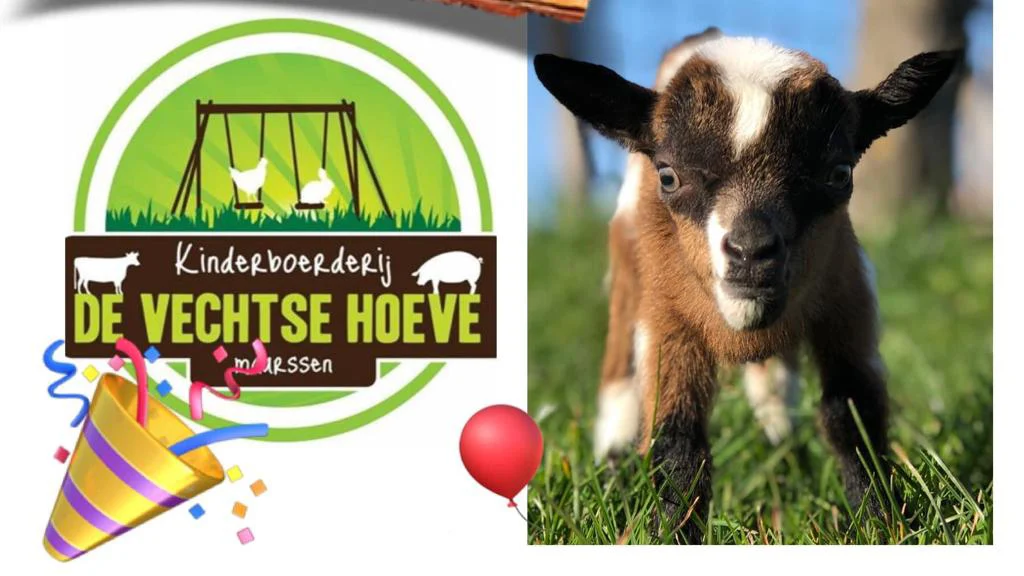 Kinderboerderij De Vechtse Hoeve🪿