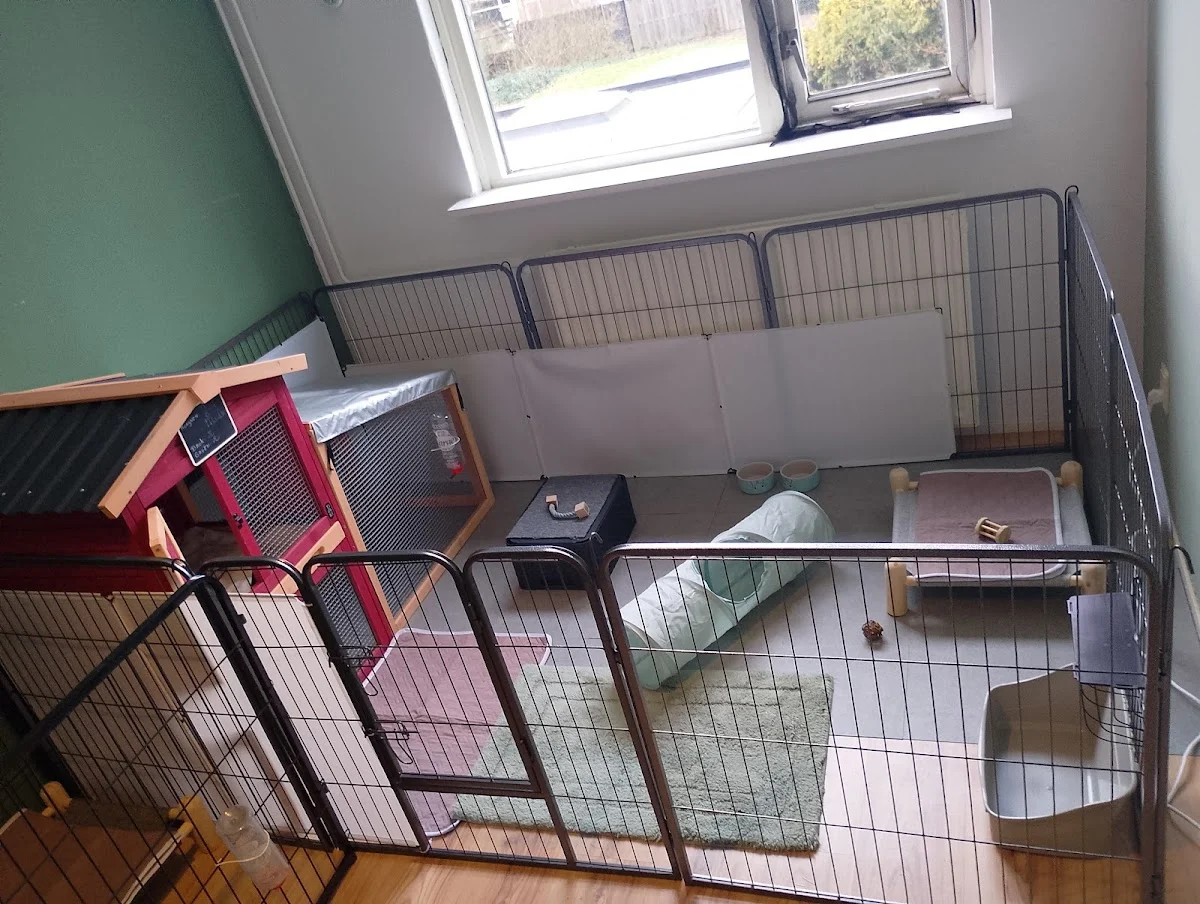 Konijnenpension Duiven - vakantieopvang konijnen & cavia's Gelderland konijnenopvang dierenpension - 2