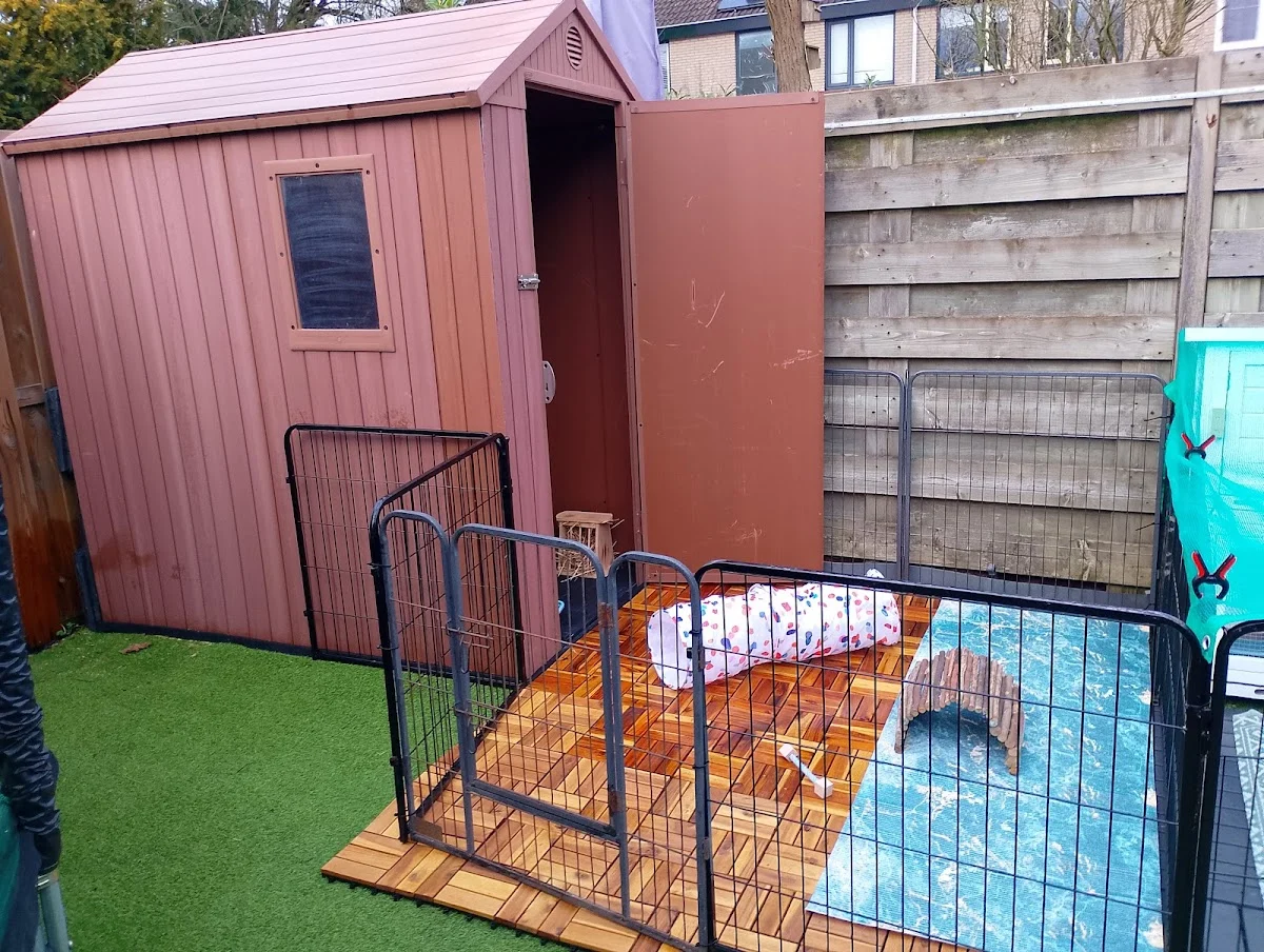 Konijnenpension Duiven - vakantieopvang konijnen & cavia's Gelderland konijnenopvang dierenpension