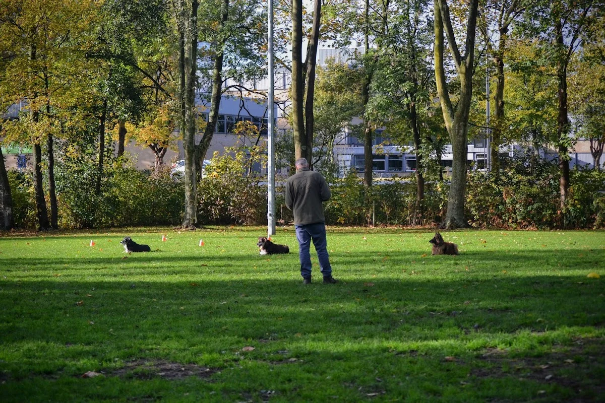 Kvrijnland