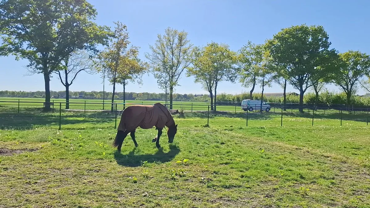 Landgoed De Bossenhoeve - 3