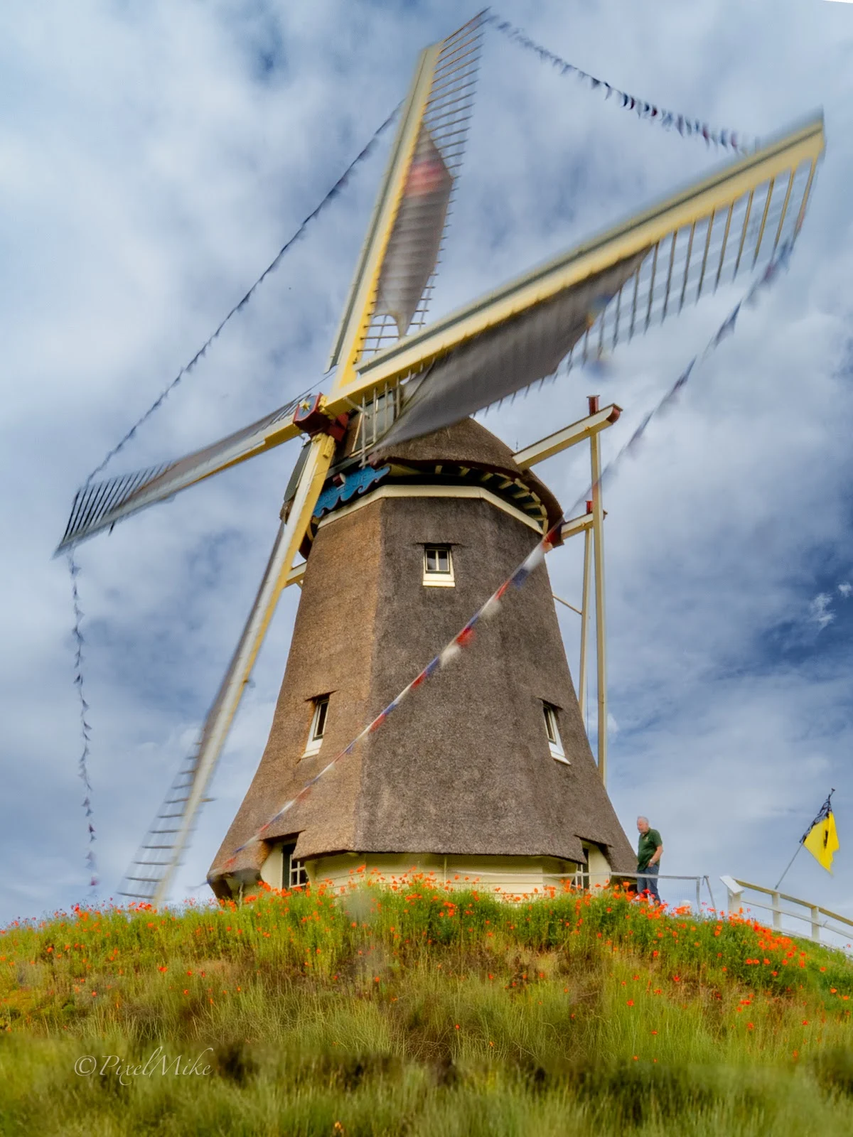 Landwinkel Molen de Duif - 2