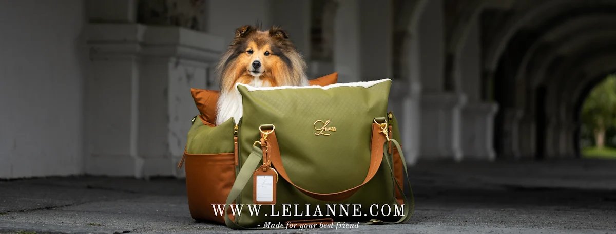 L'élianne - 3