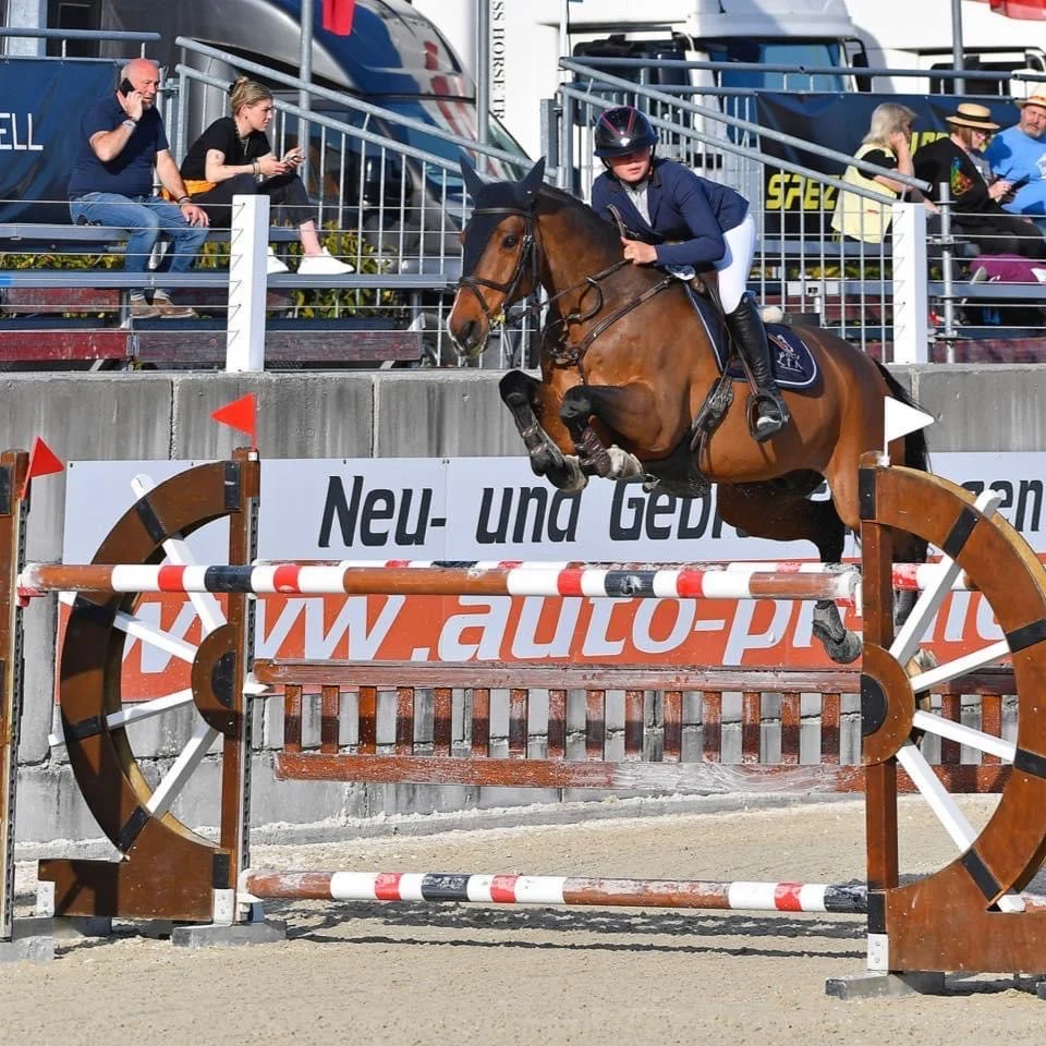 LFK Sporthorses - 2