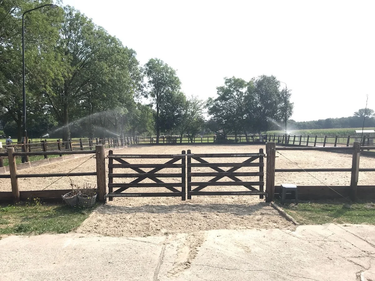 Lips Stables paardenpension - 2