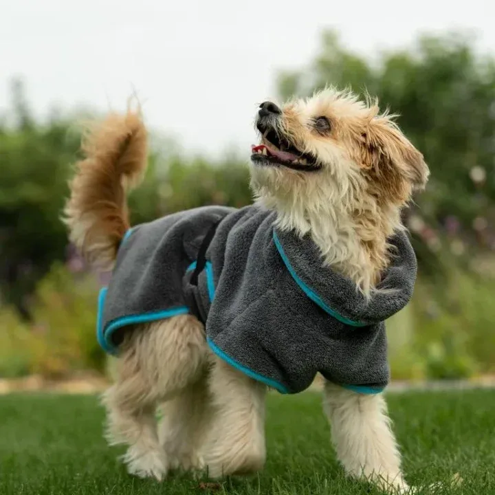 MadeForDogs