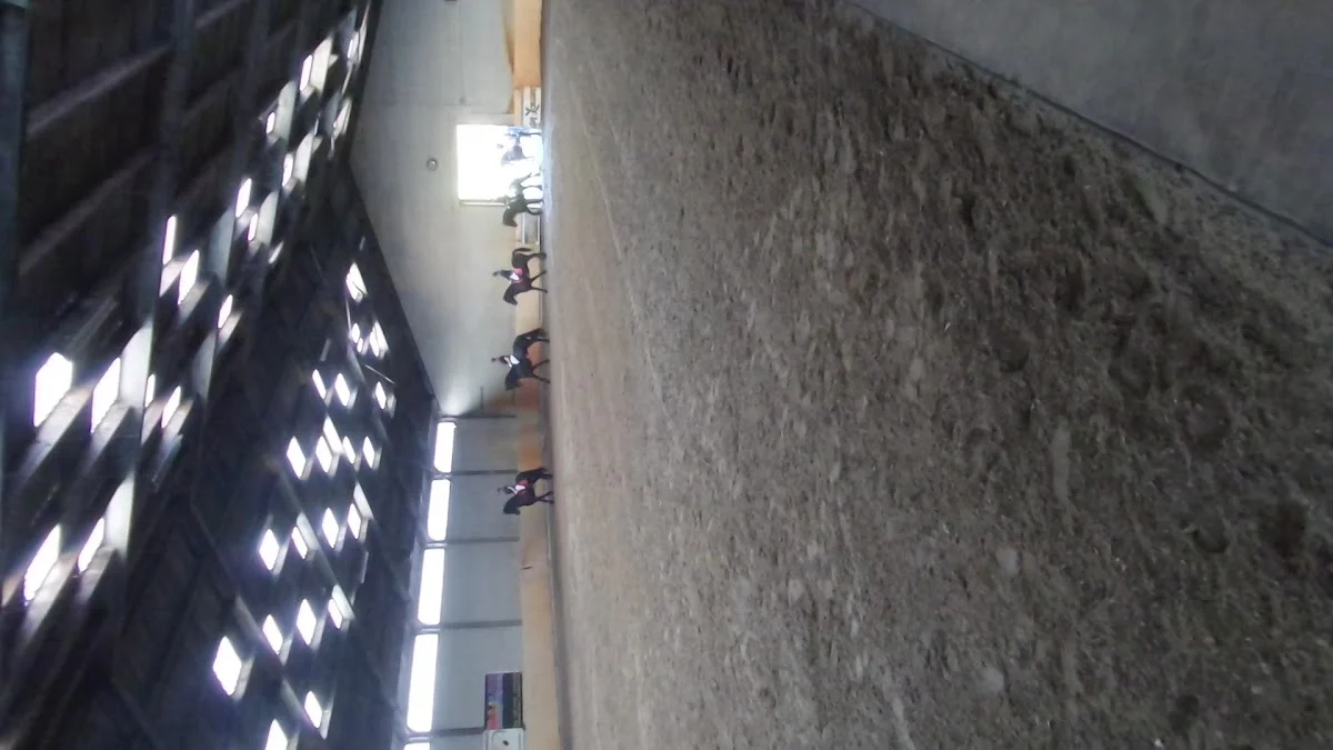 Manege De Auw Meule - 3