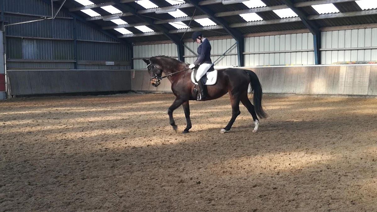 Manege De Dollard