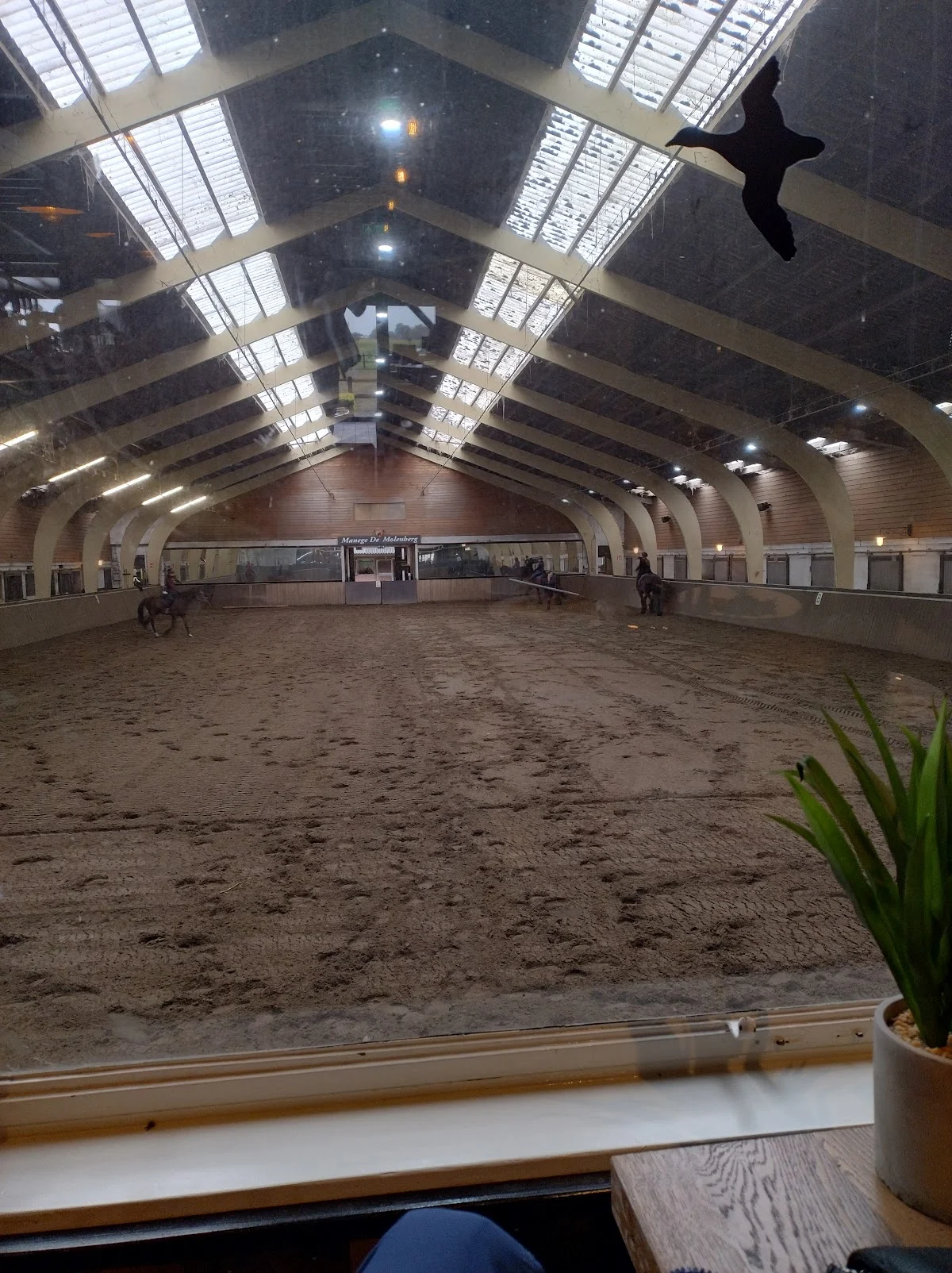 Manege de Molenberg