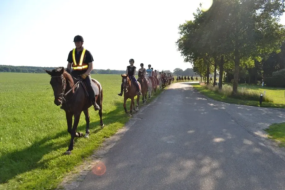 Manege en Kampeerboerderij De Barlo