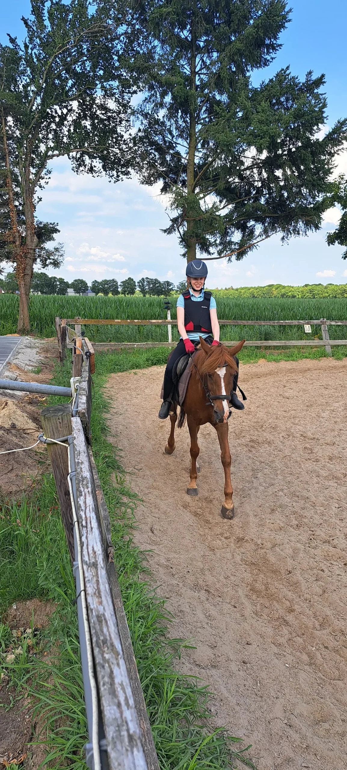 Manege Sonniushof - 2